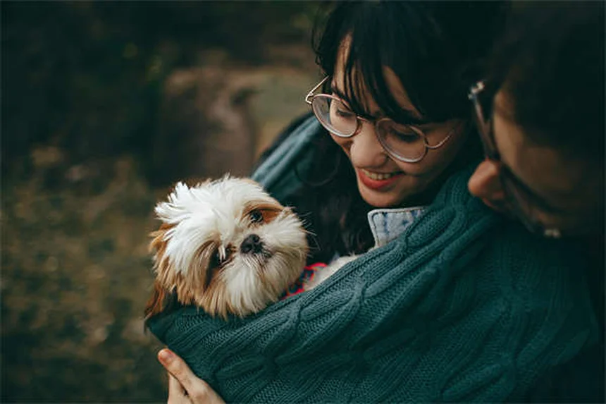 アメリカン・ペイントホースの飼い方・性格・健康問題・価格まで徹底解説